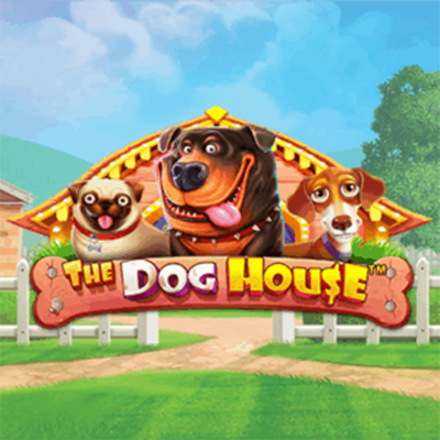 The dog house